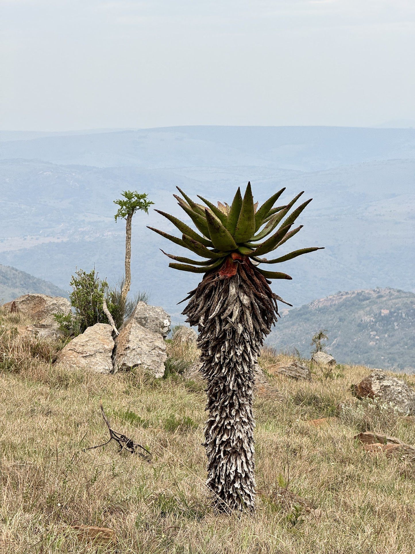  Babanango Game Reserve