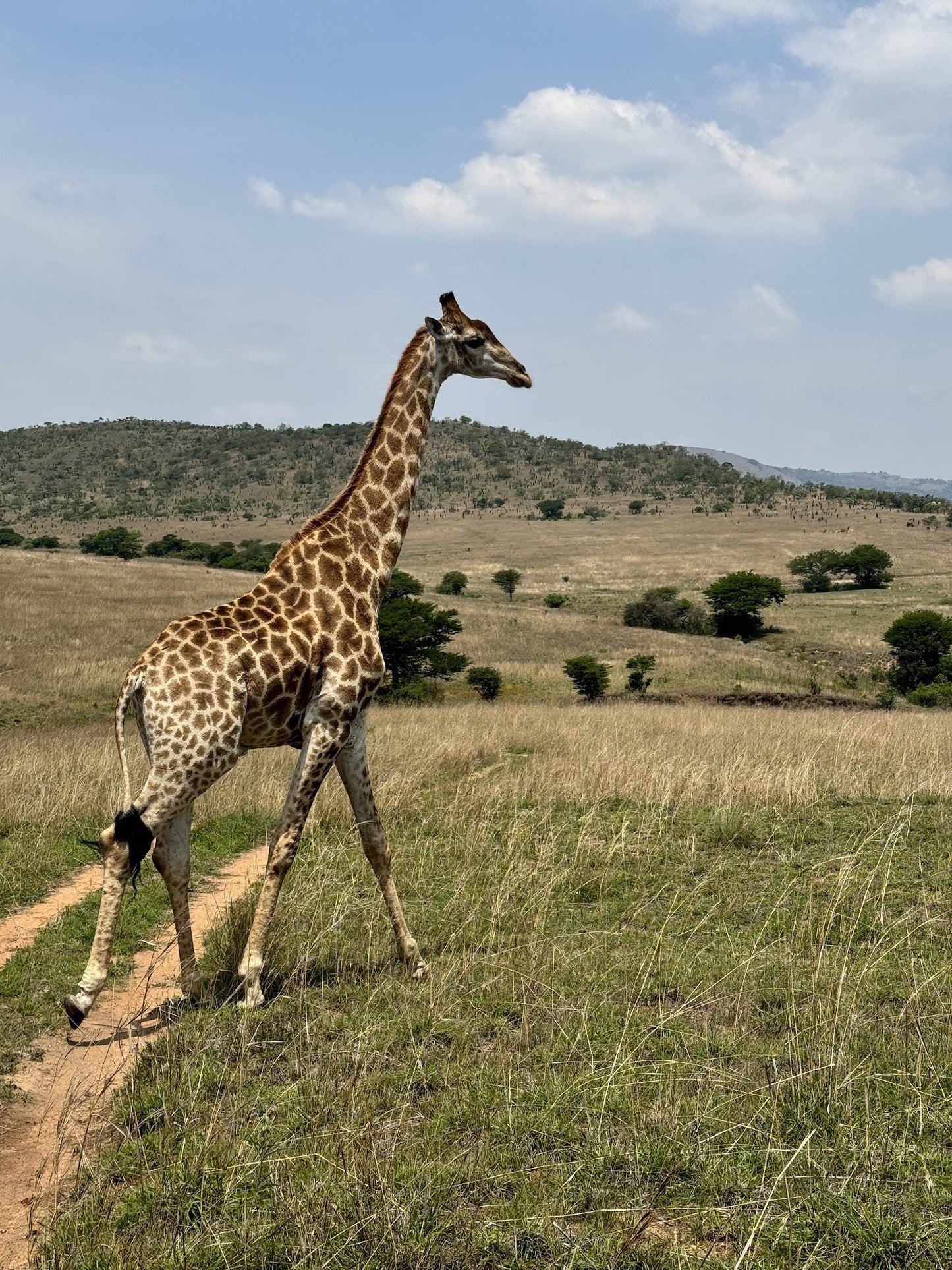  Babanango Game Reserve