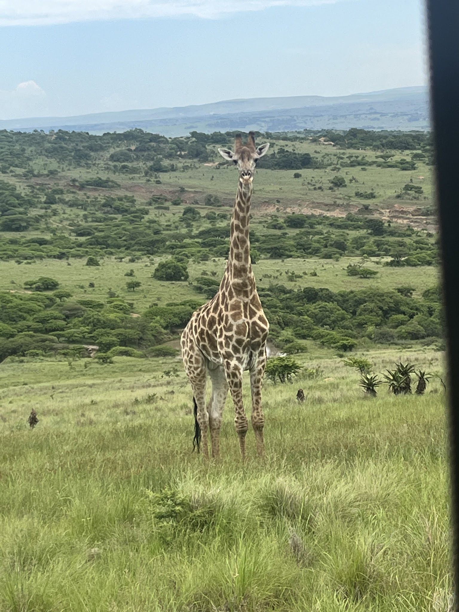  Babanango Game Reserve