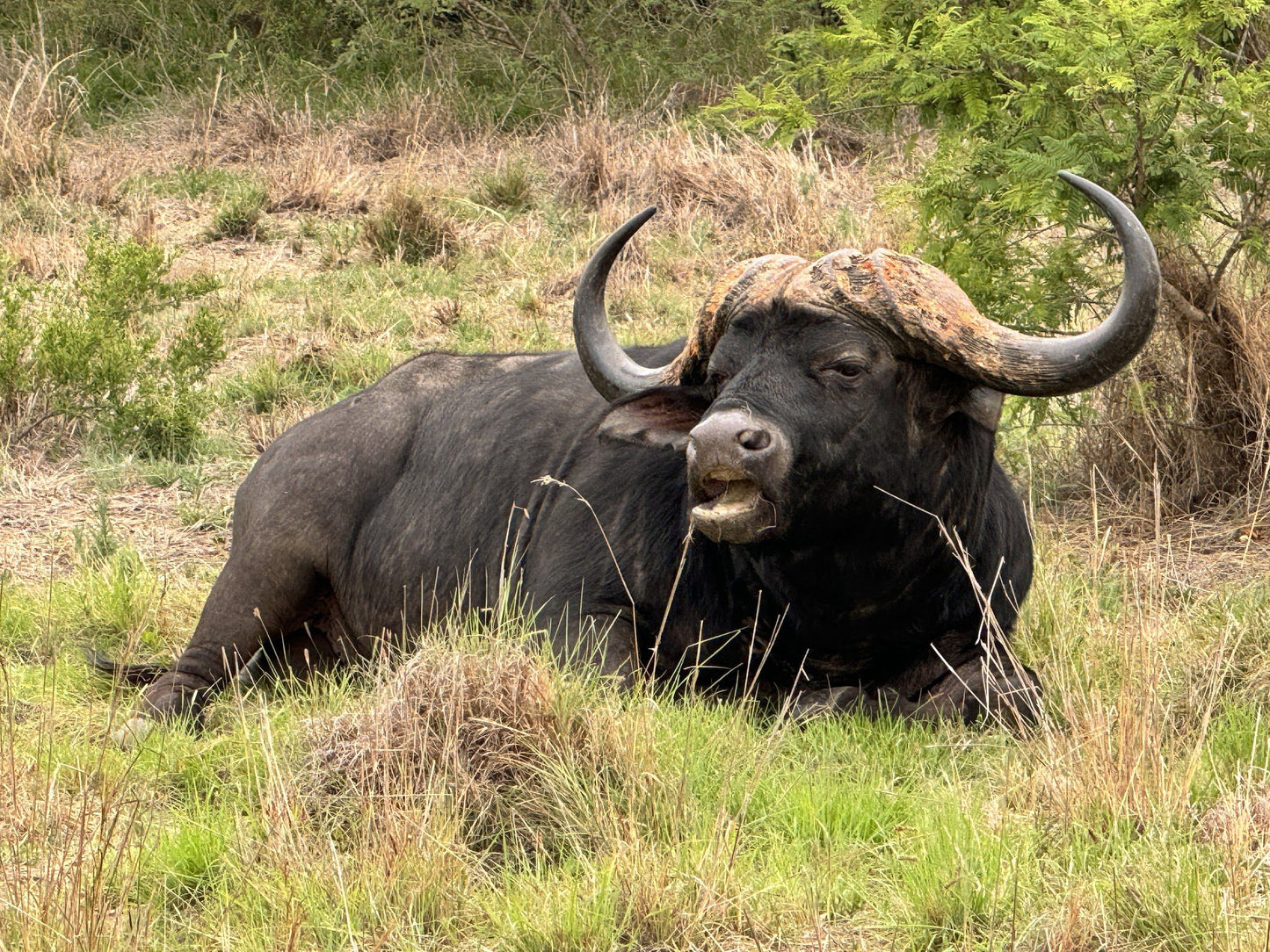  Babanango Game Reserve