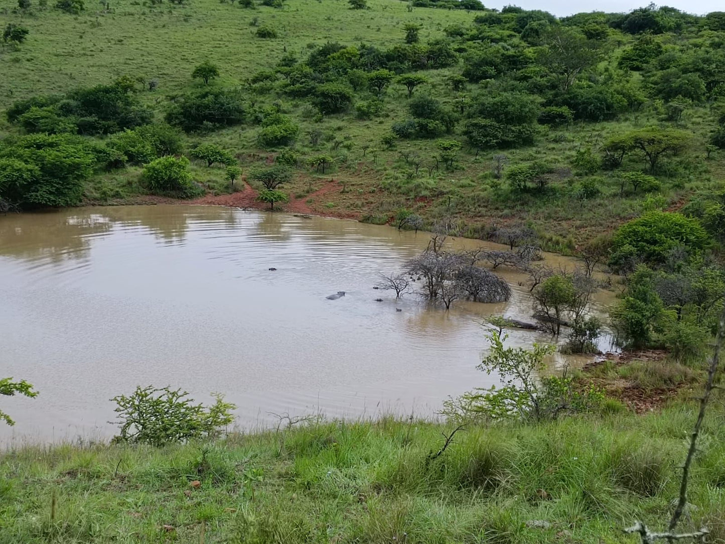  Babanango Game Reserve