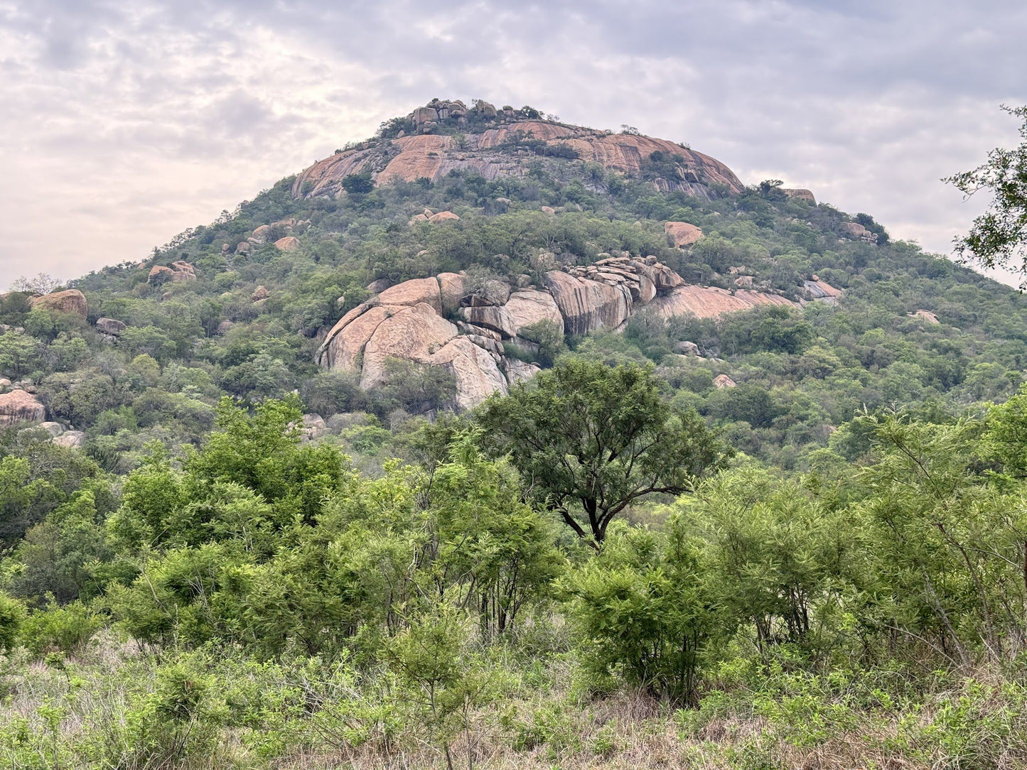  Babanango Game Reserve