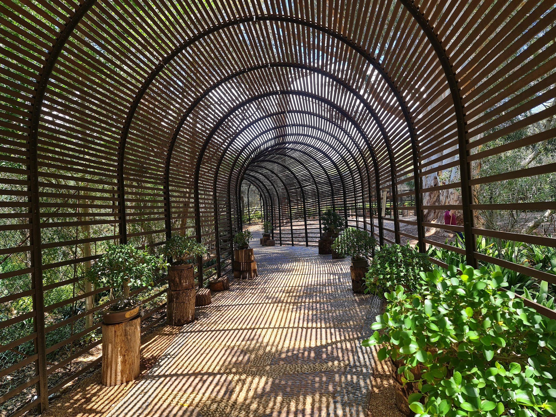  Babylonstoren Wine Estate