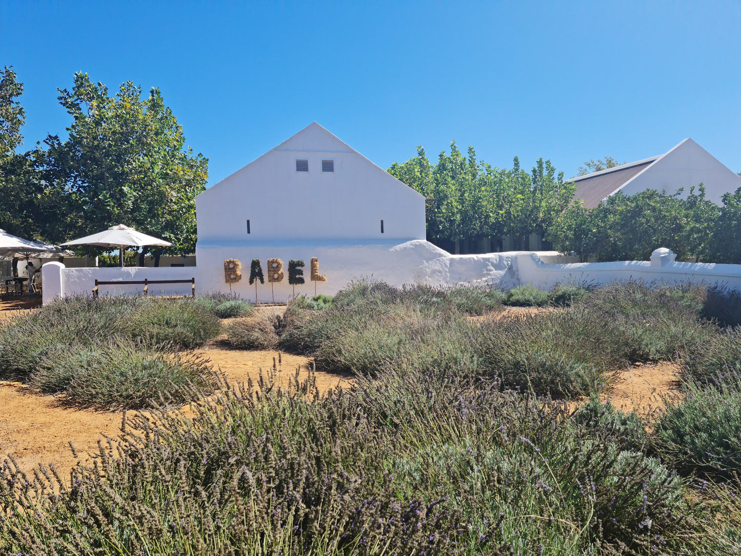  Babylonstoren Wine Estate