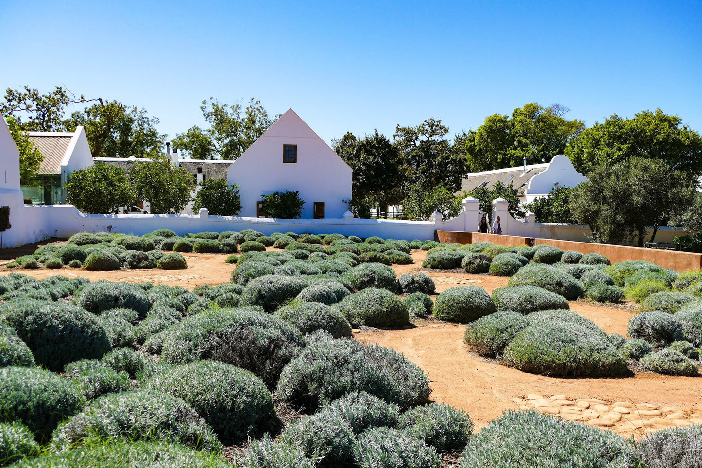  Babylonstoren