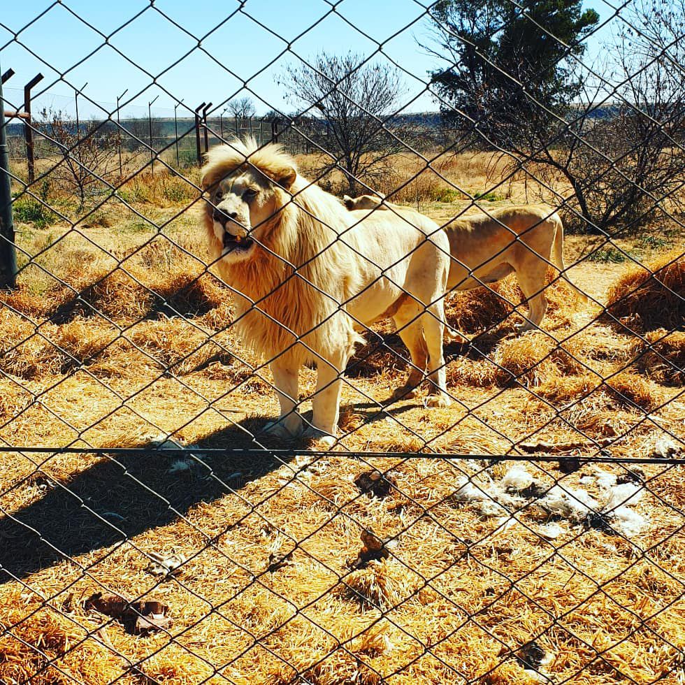  Bagamoya Wildlife Estate