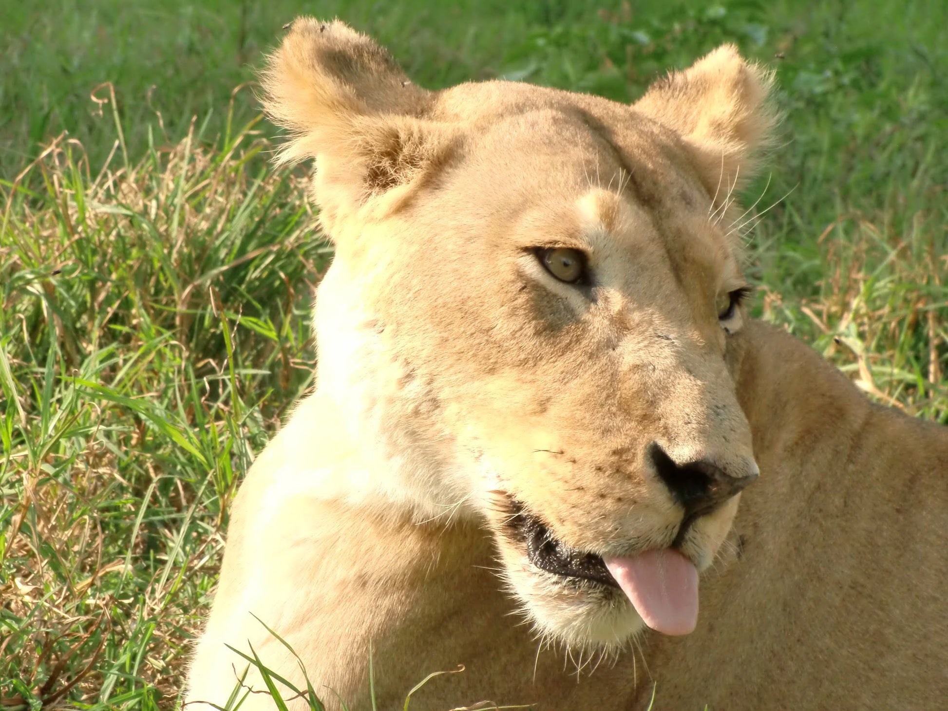  Bagamoya Wildlife Estate