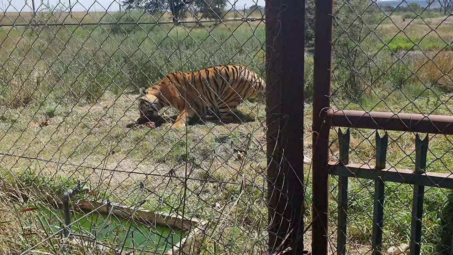  Bagamoya Wildlife Estate