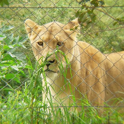  Bagamoya Wildlife Estate