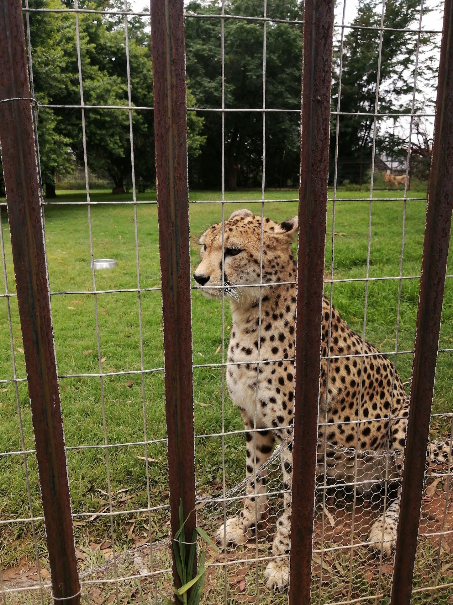  Bagamoya Wildlife Estate