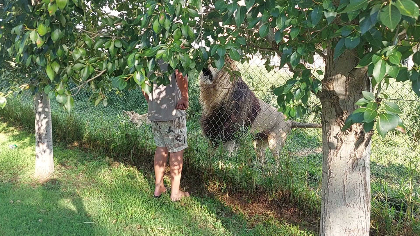  Bagamoya Wildlife Estate