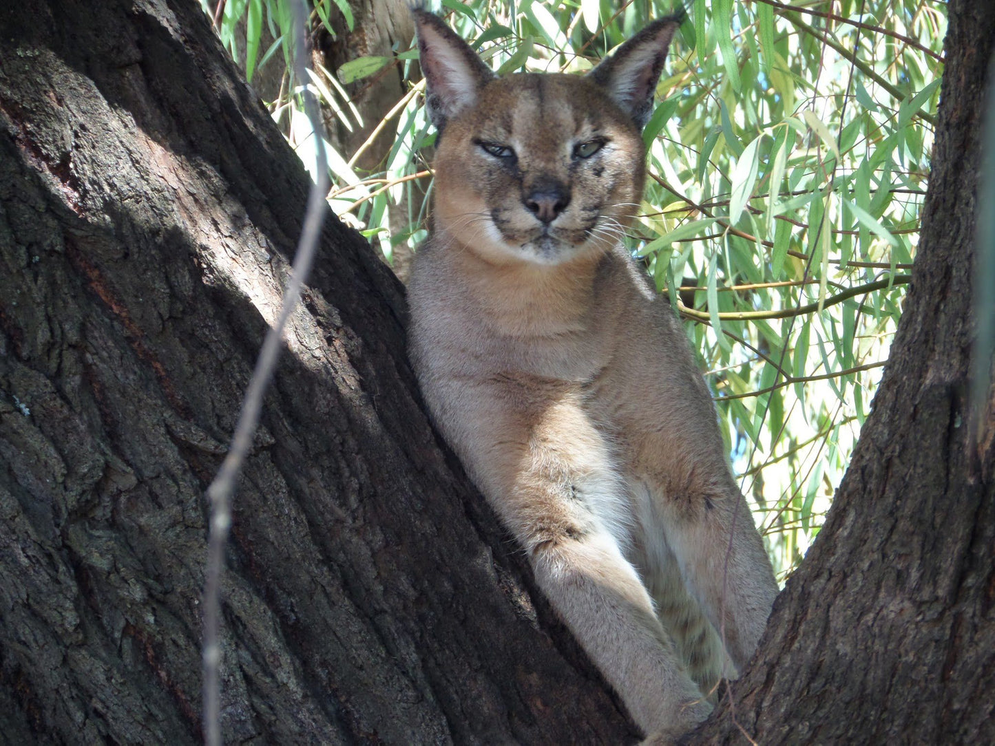  Bagamoya Wildlife Estate