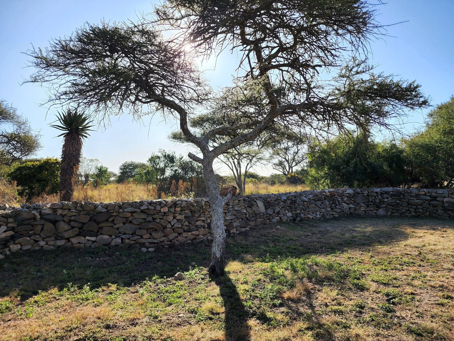  Bakone Malapa Open-Air Museum