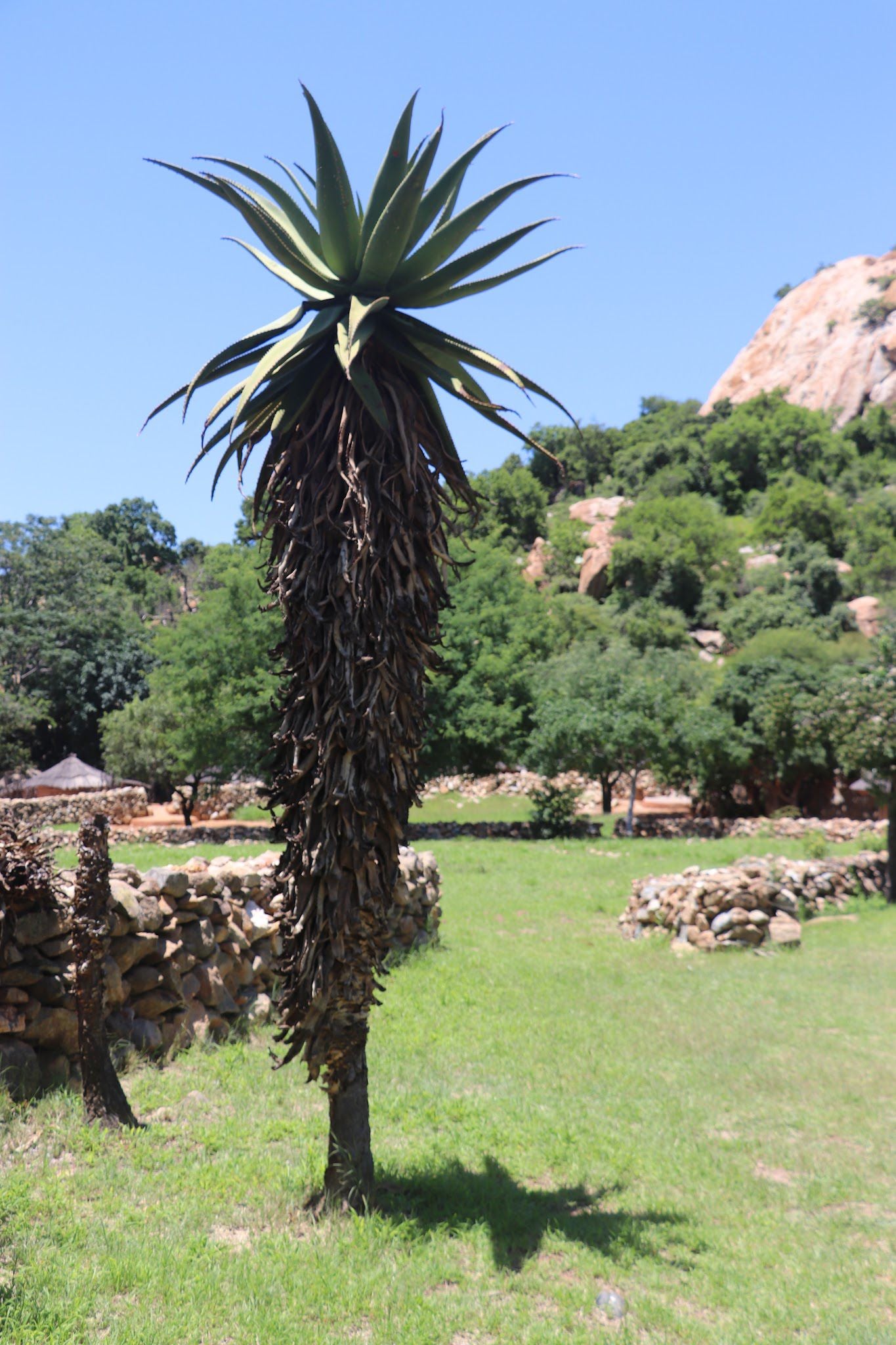  Bakone Malapa Open-Air Museum