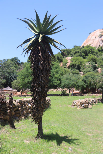  Bakone Malapa Open-Air Museum