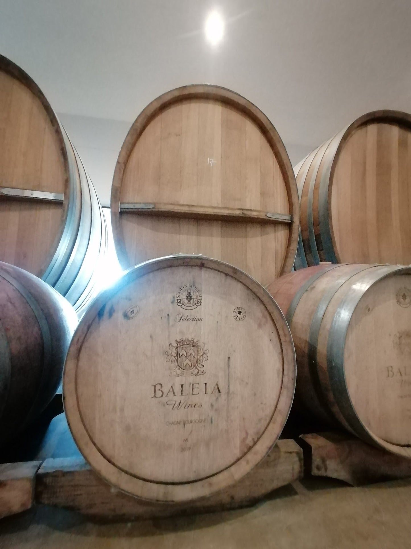  Baleia Wines & Olive oil