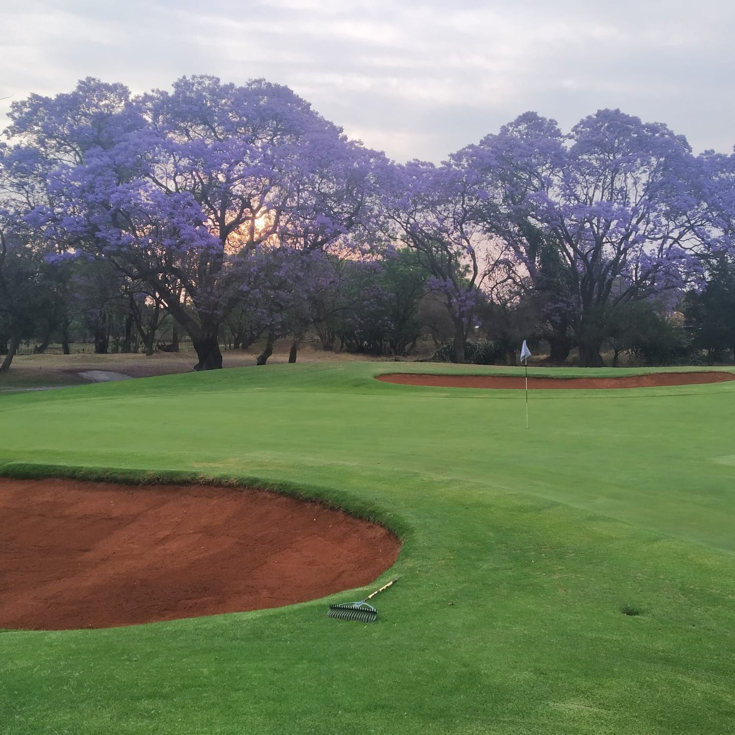 Ball Game, Sport, Golfing, Akasia Golf Club, Waterbok St, Theresapark, Pretoria, 0183