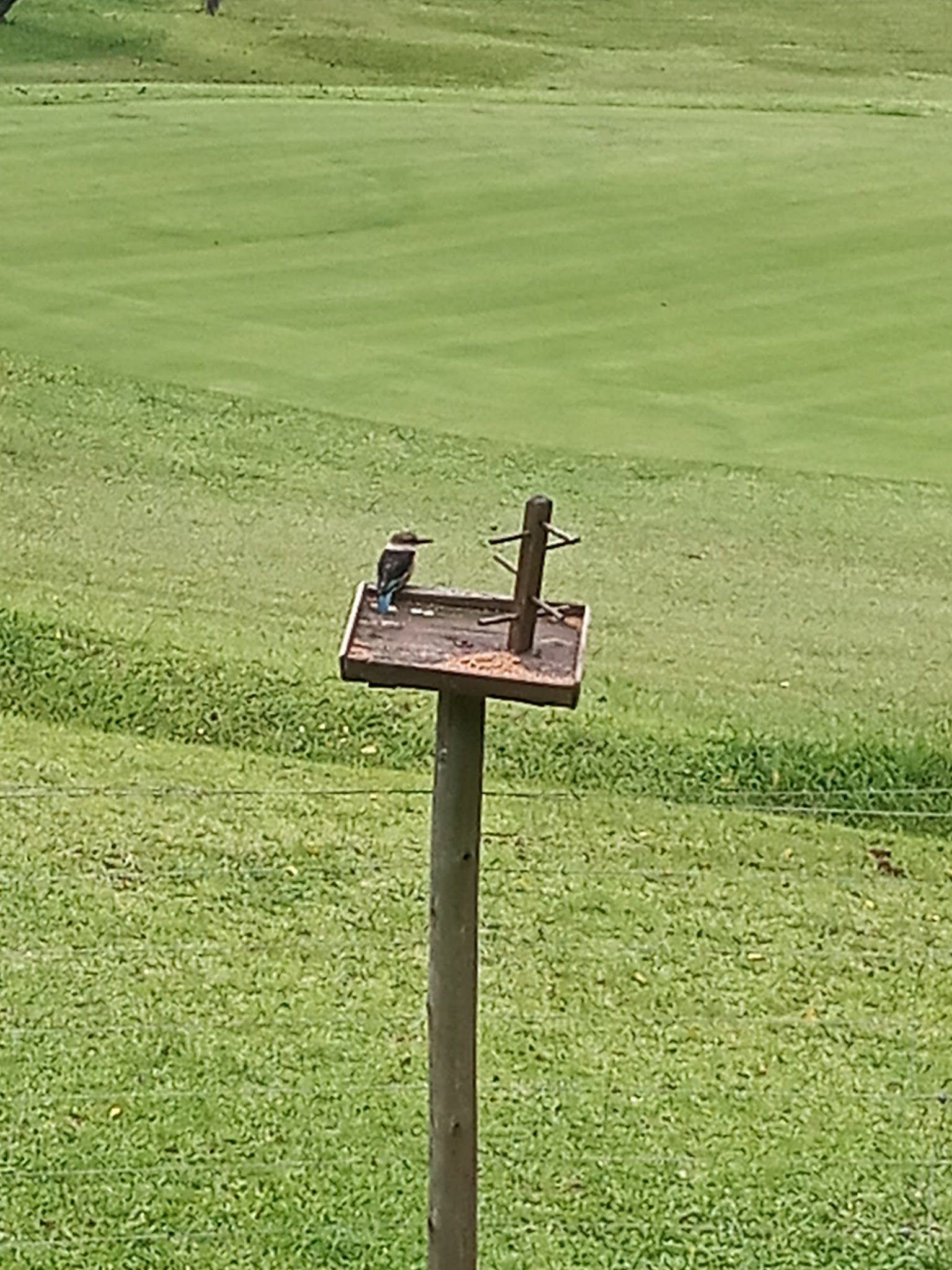 Ball Game, Sport, Golfing, Animal, Bird, Cemetery, Religion, Grave, Cross, Mtunzini Country Club, 43 Hely Hutchinson Rd, Mtunzini, 3867