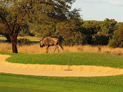 Ball Game, Sport, Golfing, Animal, Elements Private Golf Reserve, Portain 9 Elandsfontein Farm Cyferfontein District Cyferfontein Road 440KR, Bela-Bela, 0480