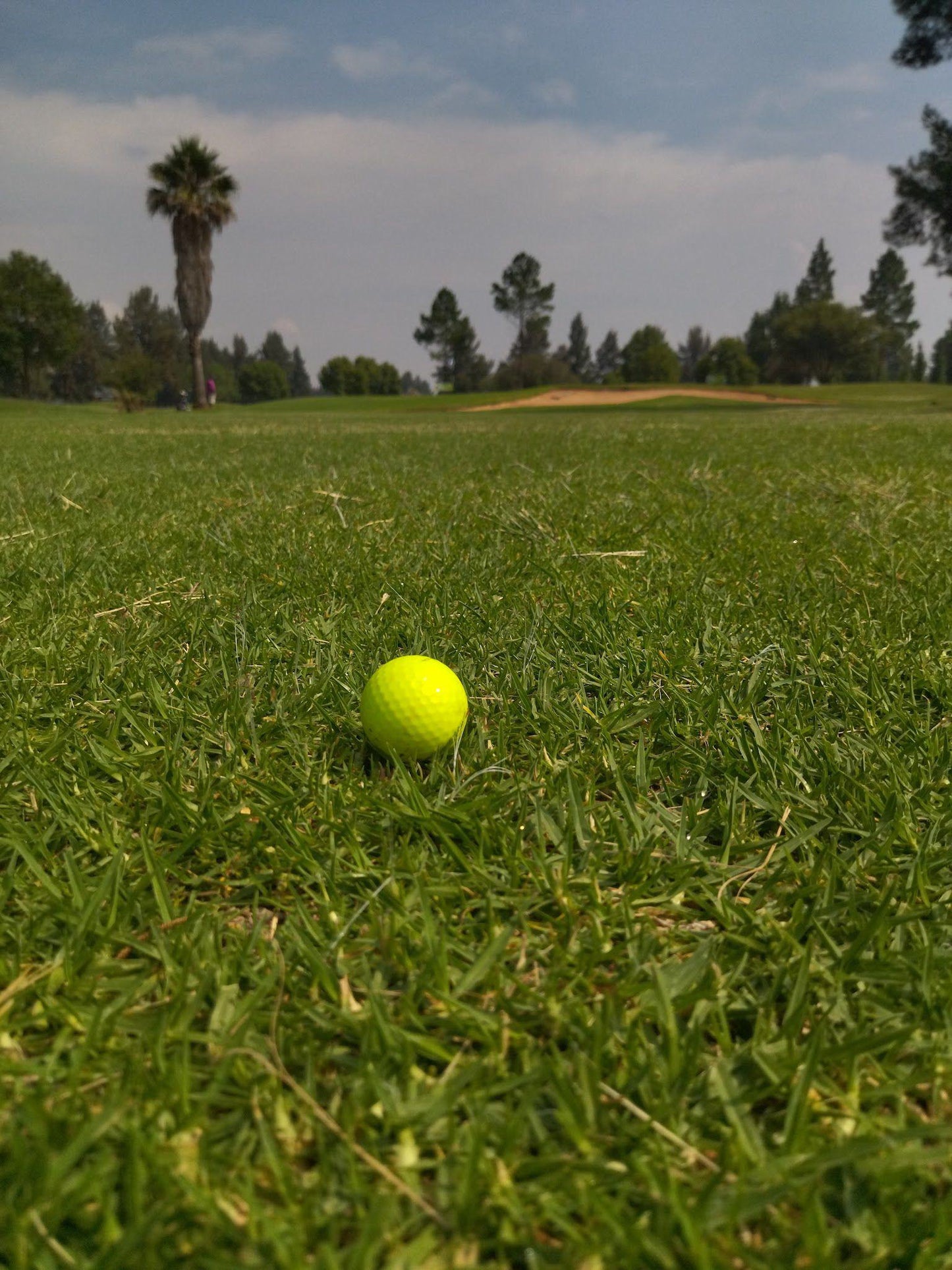 Ball Game, Sport, Golfing, Ball, Meyerton Golf Club, Carvalho St &, Pierneef Blvd, Meyerton, 1961