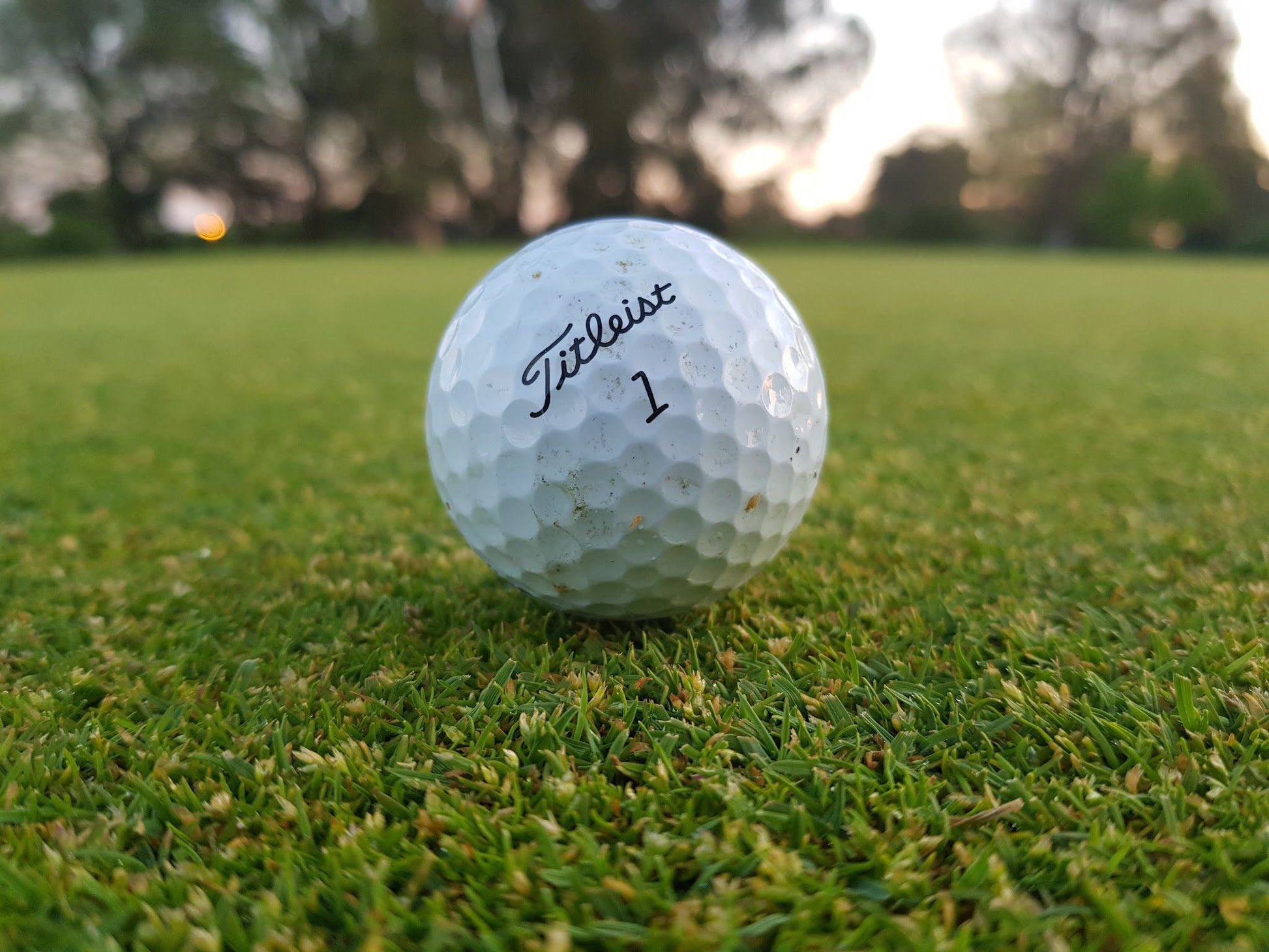 Ball Game, Sport, Golfing, Ball, Schoeman Park Golf Club, Maselspoort St, Bloemfontein, Free State, 9301