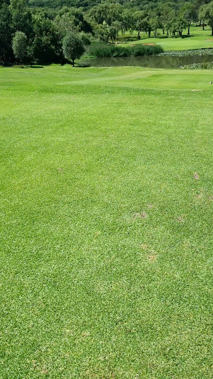 Ball Game, Sport, Golfing, Ball, Texture, Grass Texture, Goldfields West Private Golf Club, 118, Farm Driefontein Gold Mines, Carletonville, 2499