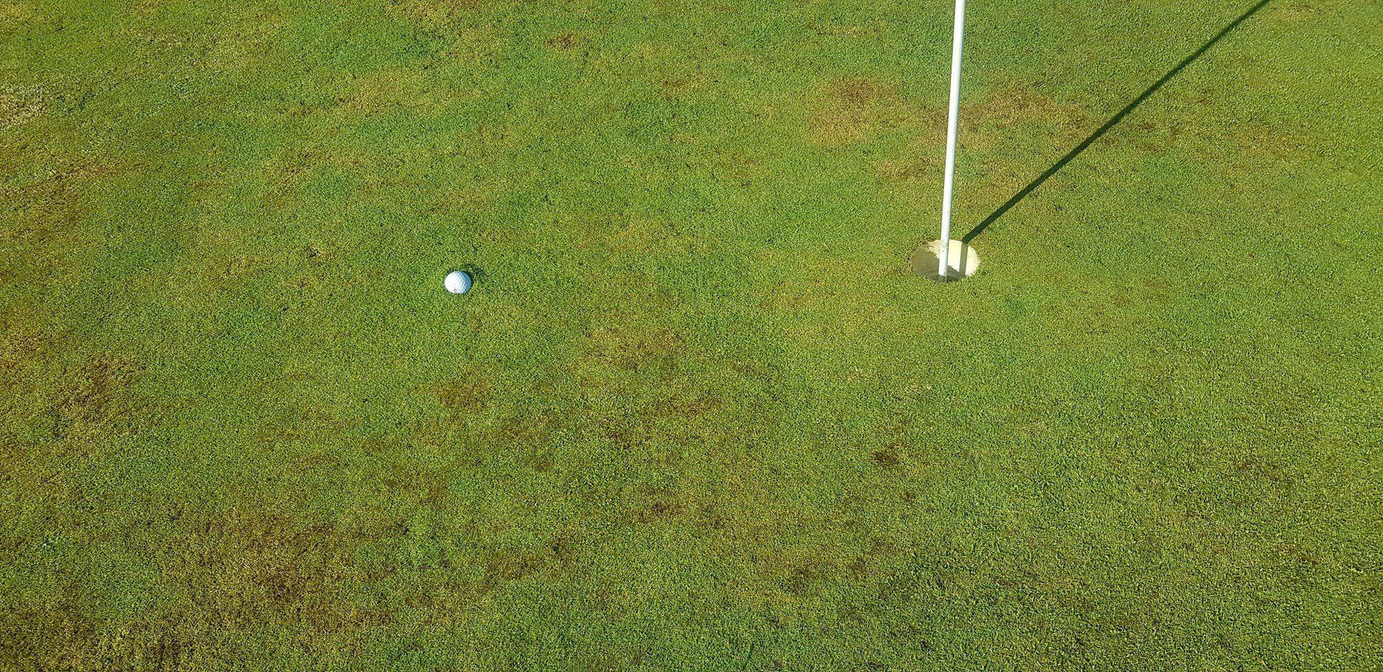 Ball Game, Sport, Golfing, Ball, Texture, Grass Texture, Sandonia Golf Club, Pretoria., 23 Reier Rd, Kameeldrift East, Pretoria, 0035