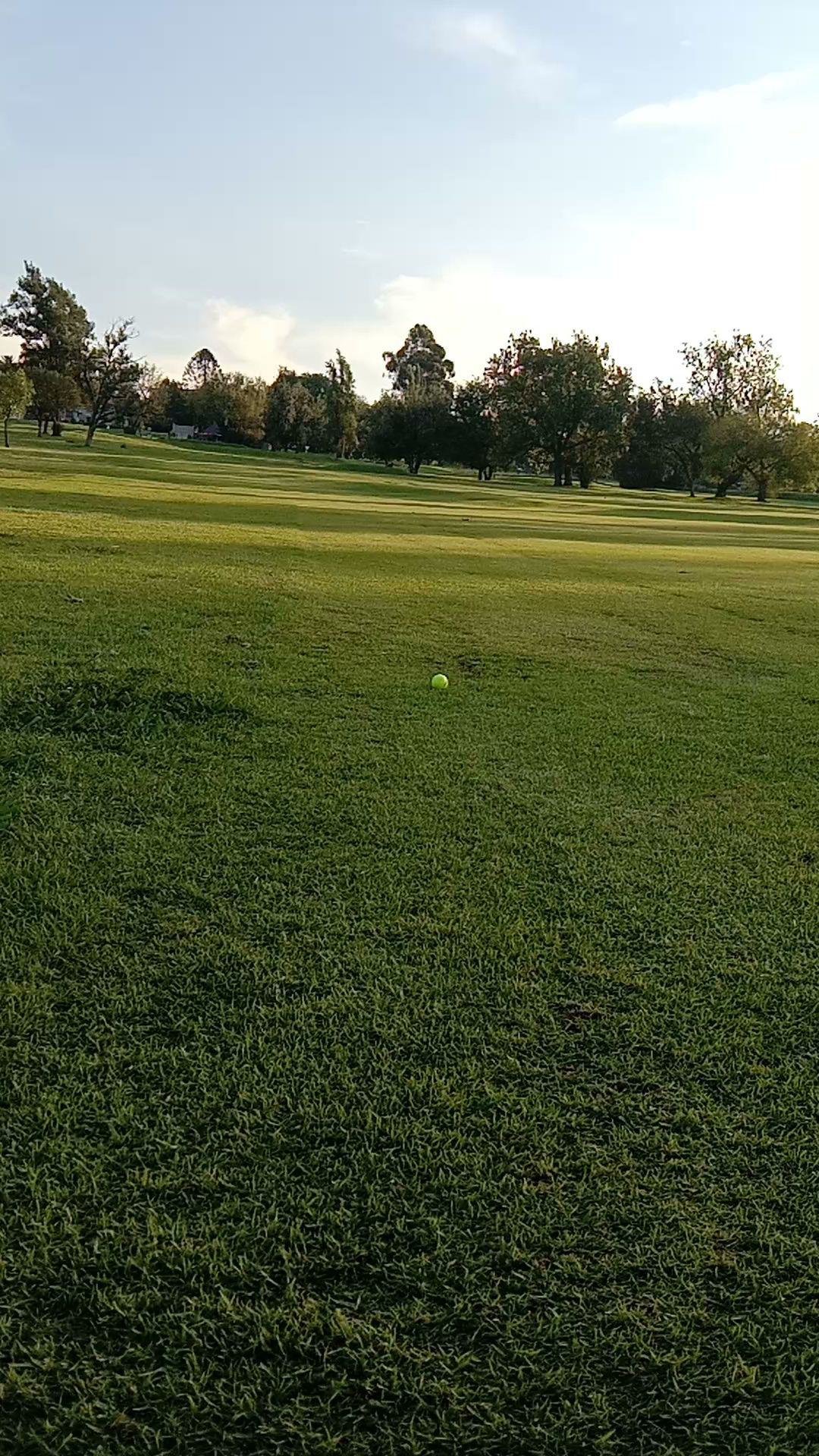 Ball Game, Sport, Golfing, Ball, The Wanderers Golf Club, Rudd Rd, Illovo, Johannesburg, 2116