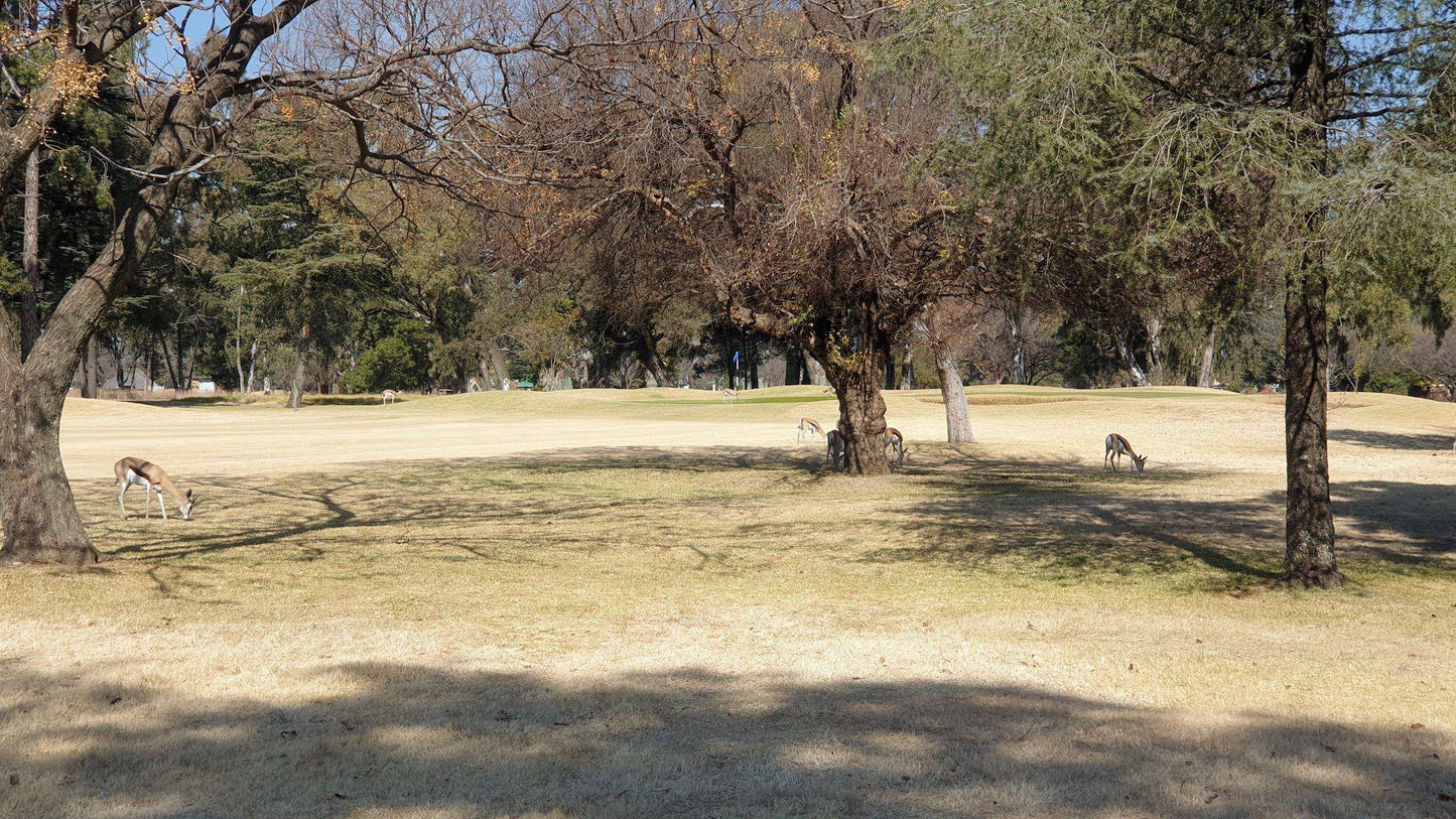 Ball Game, Sport, Golfing, Benoni Country Club Golf Course, 1 Innisbrook Mews, Rynfield, Benoni, 1514