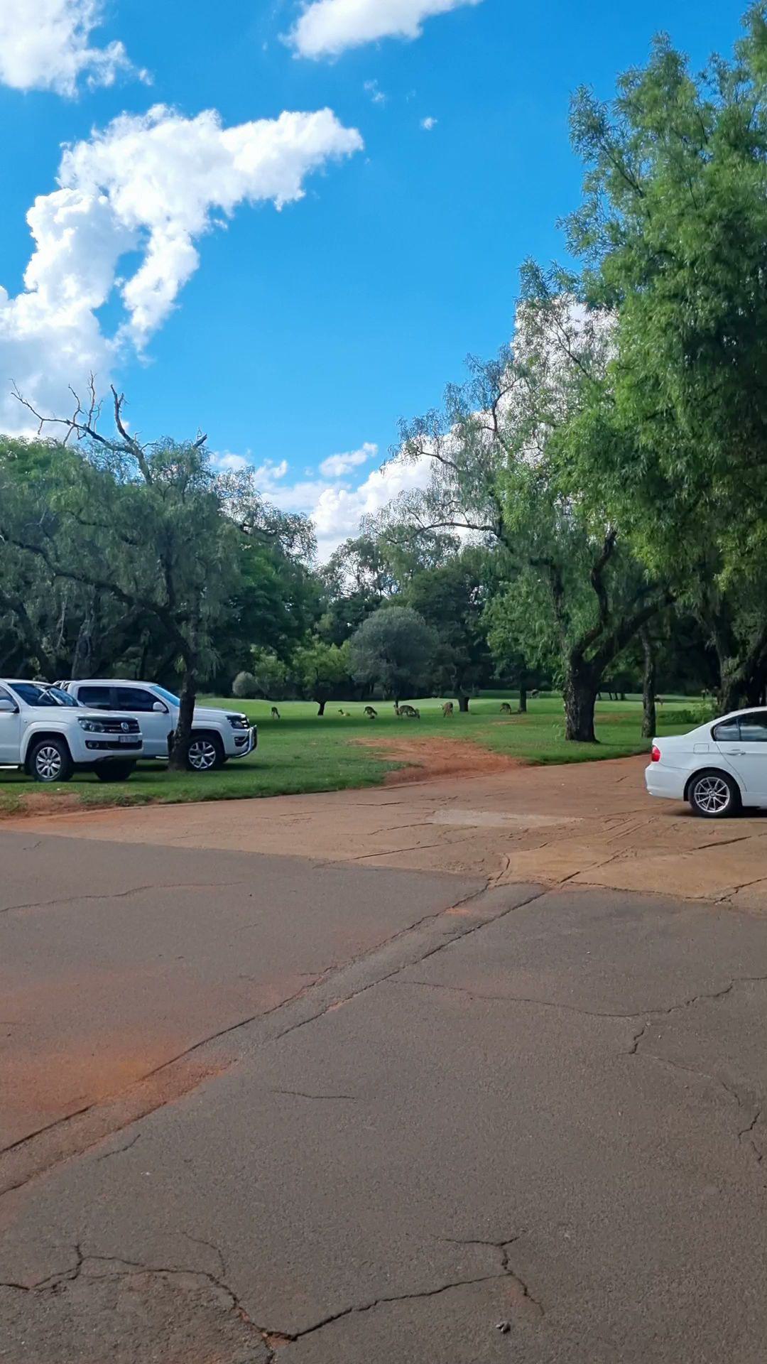 Ball Game, Sport, Golfing, Car, Vehicle, Goldfields West Private Golf Club, 118, Farm Driefontein Gold Mines, Carletonville, 2499