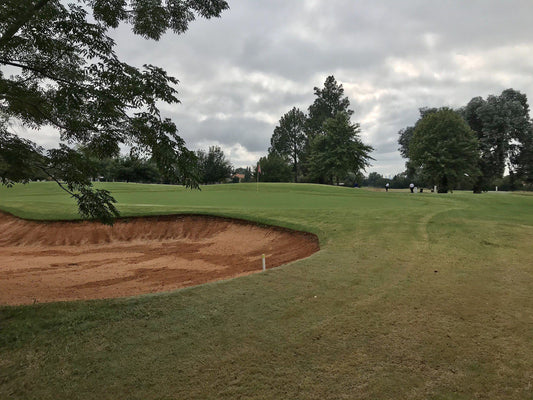 Ball Game, Sport, Golfing, Emfuleni Golf Estate, 1 Cherry St, Vanderbijlpark S. W. 5, Vanderbijlpark, 1911