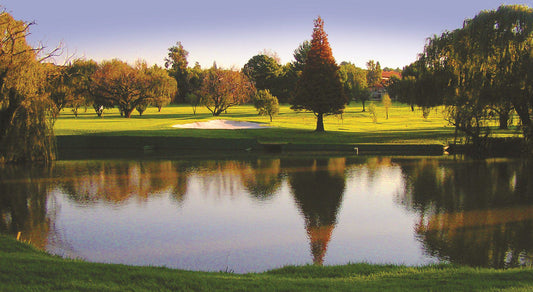 Ball Game, Sport, Golfing, Glenvista Country Club, Vorster Ave, Glenvista, Johannesburg South, 2091