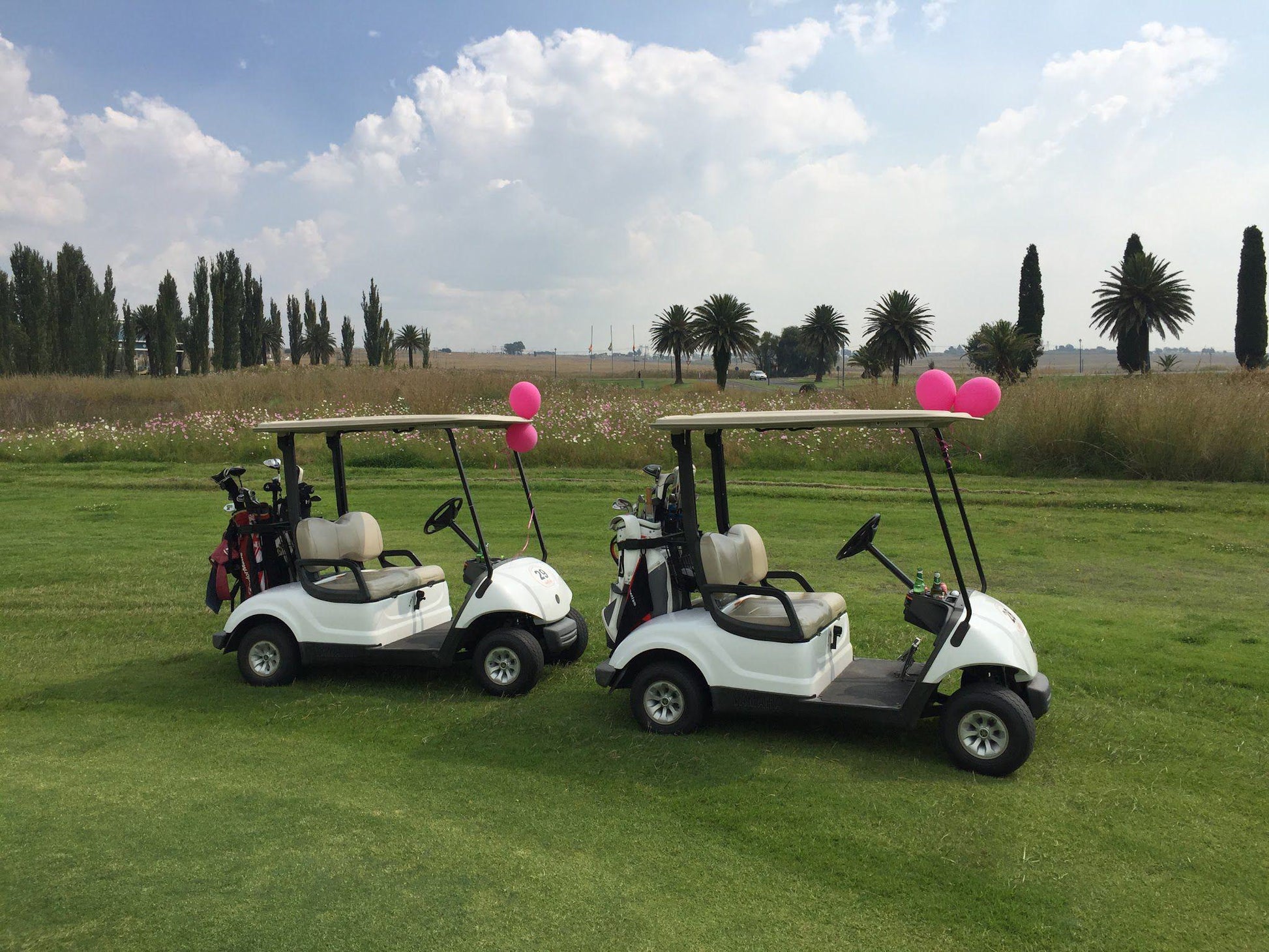 Ball Game, Sport, Golfing, Graceland Golf Club, Embalenhle Rd, Secunda, 2302