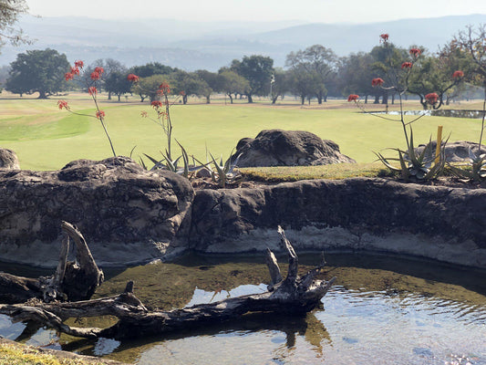 Ball Game, Sport, Golfing, Mbombela Golf Club, 16 Matumi Dr, Matumi Golf Estate, Mbombela, 1201