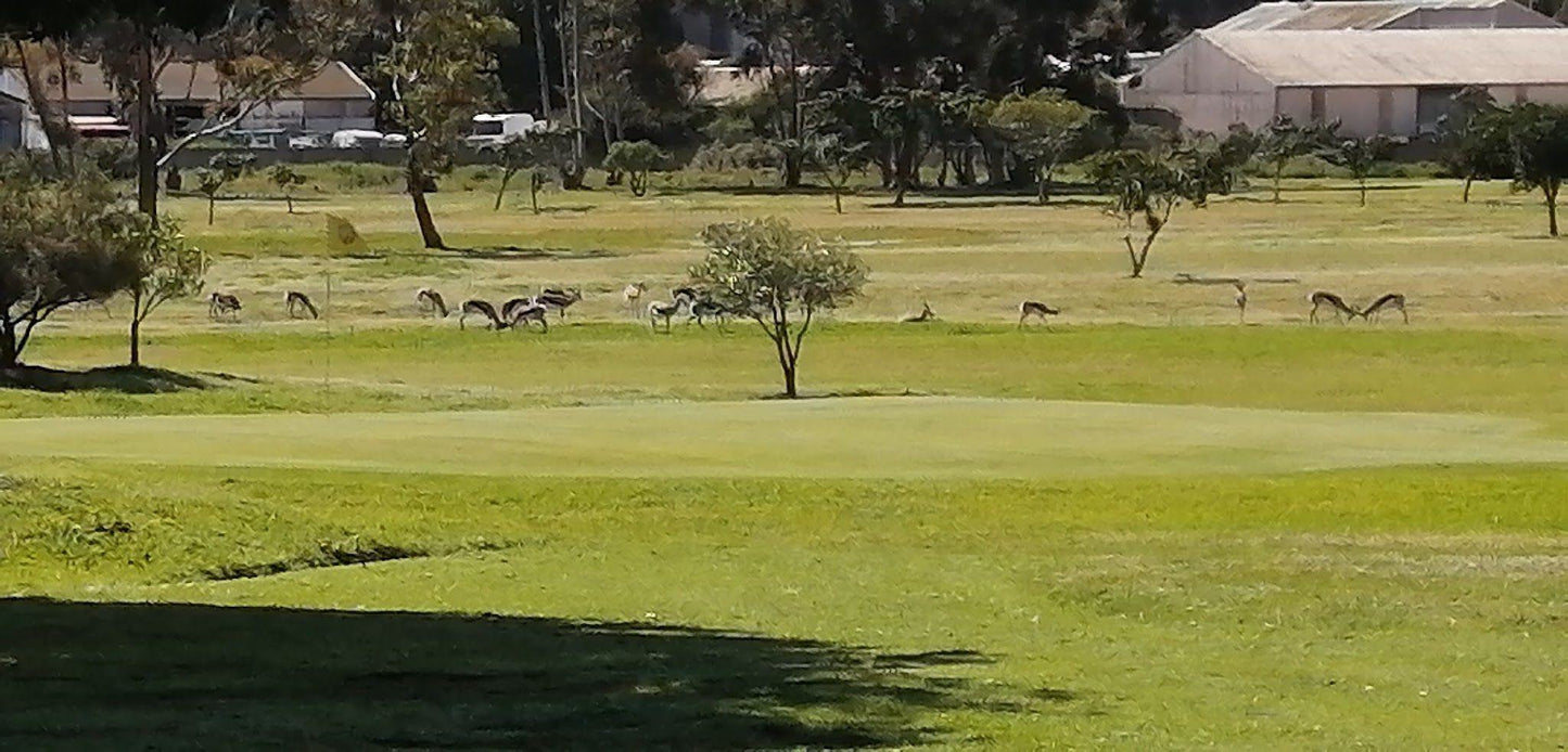 Ball Game, Sport, Golfing, Moorreesburg Golf Club, Rivier Street, Moorreesburg, 7310