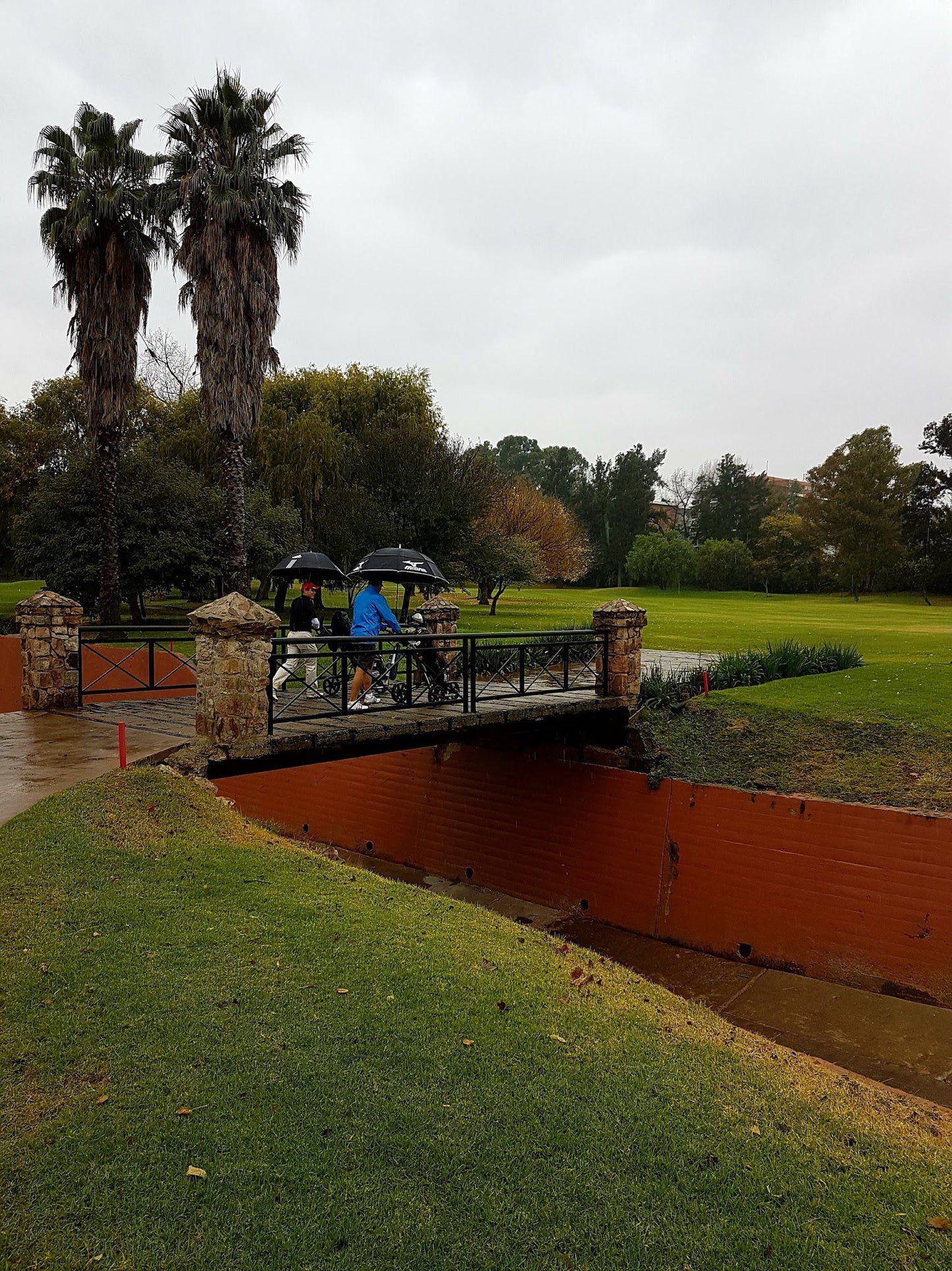 Ball Game, Sport, Golfing, Parkview Club, Cnr of Wicklow and, Emmarentia Ave, Parkview, Randburg, 2193