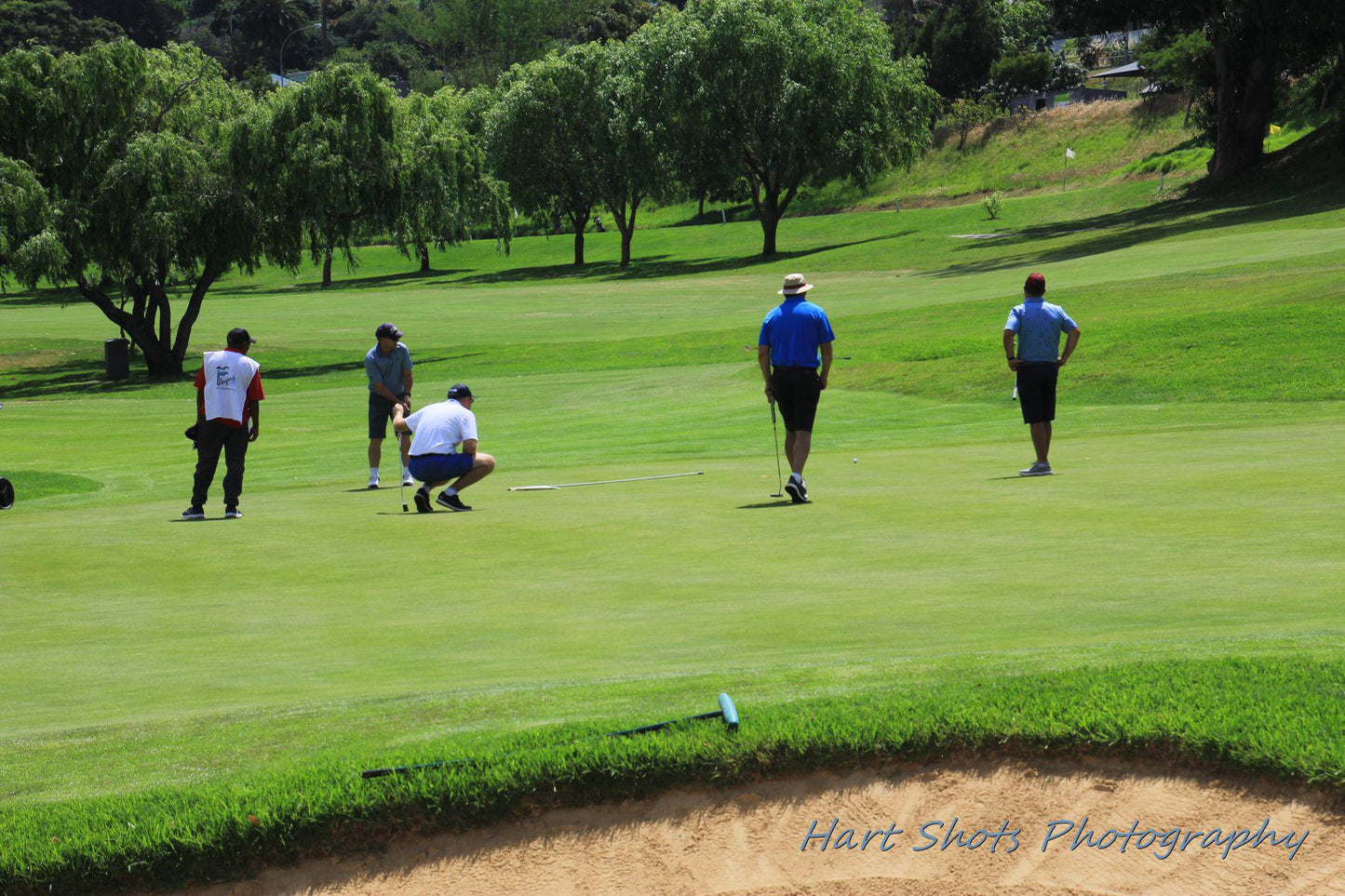 Ball Game, Sport, Golfing, Person, Ball, Bellville Golf Club, Jip De Jager Dr, Welgemoed, Cape Town, 7538