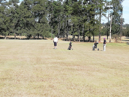 Ball Game, Sport, Golfing, Person, Ball, Cato Ridge Golf Club, Chamberlain Street, Camperdown Rural, 3720