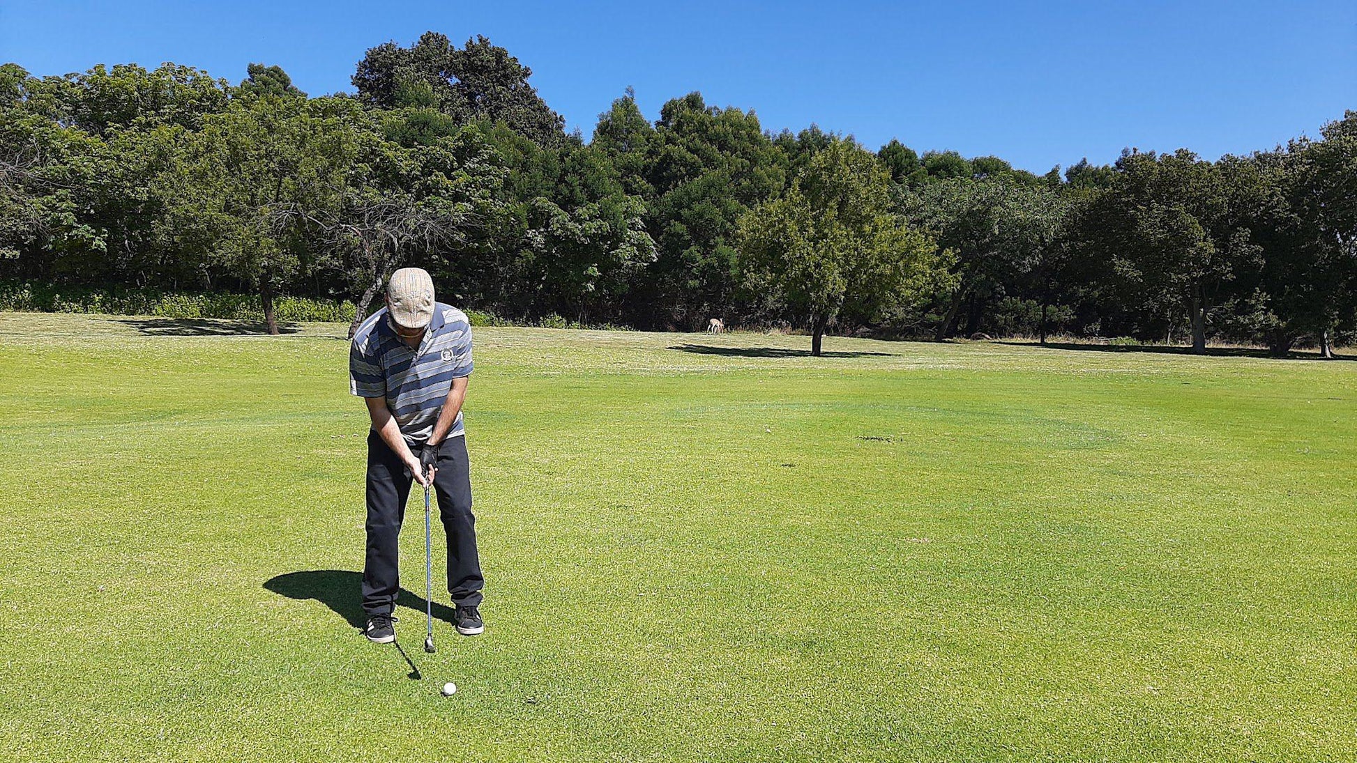 Ball Game, Sport, Golfing, Person, Ball, Goldfields West Private Golf Club, 118, Farm Driefontein Gold Mines, Carletonville, 2499