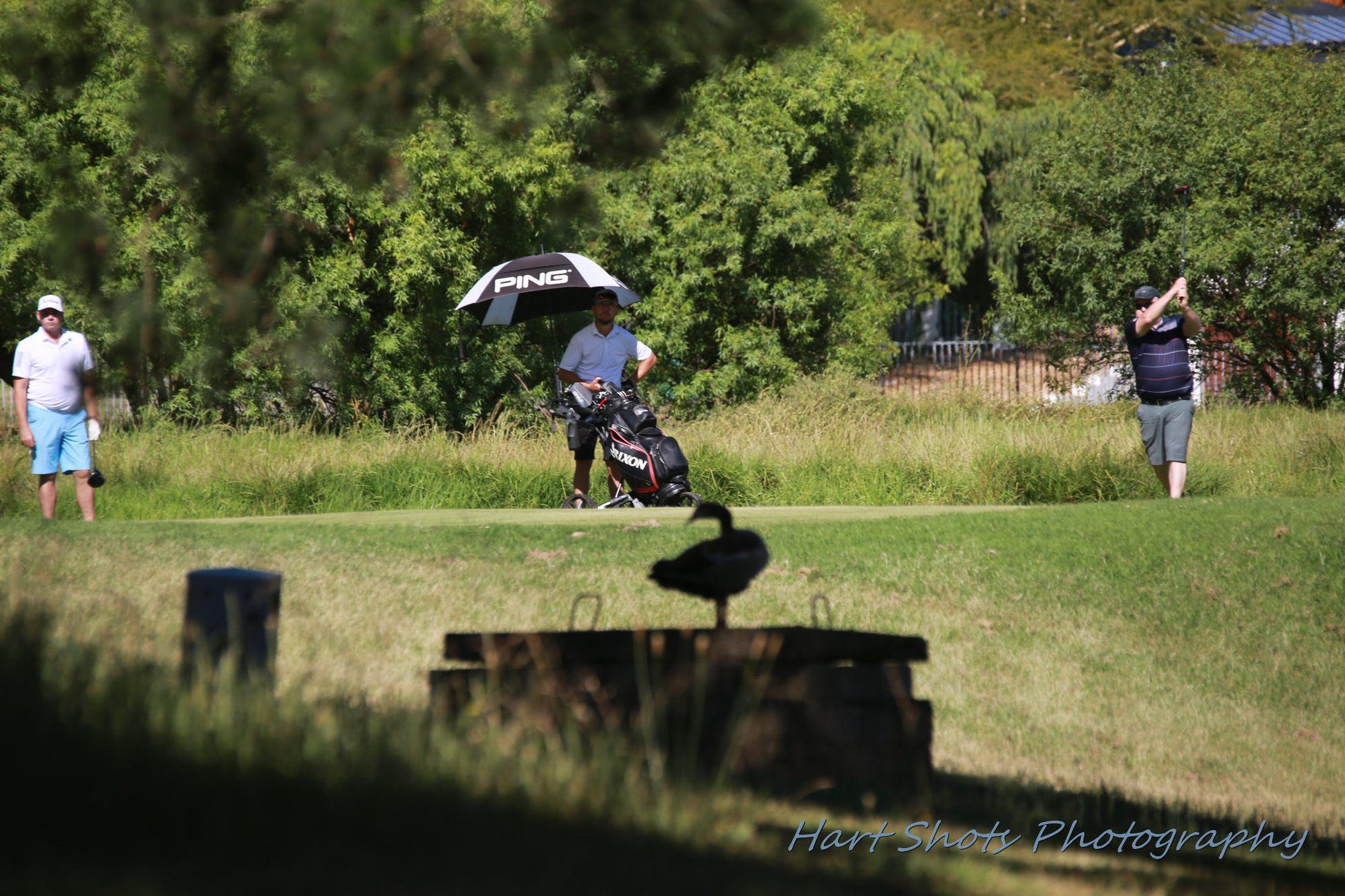 Ball Game, Sport, Golfing, Person, Bellville Golf Club, Jip De Jager Dr, Welgemoed, Cape Town, 7538