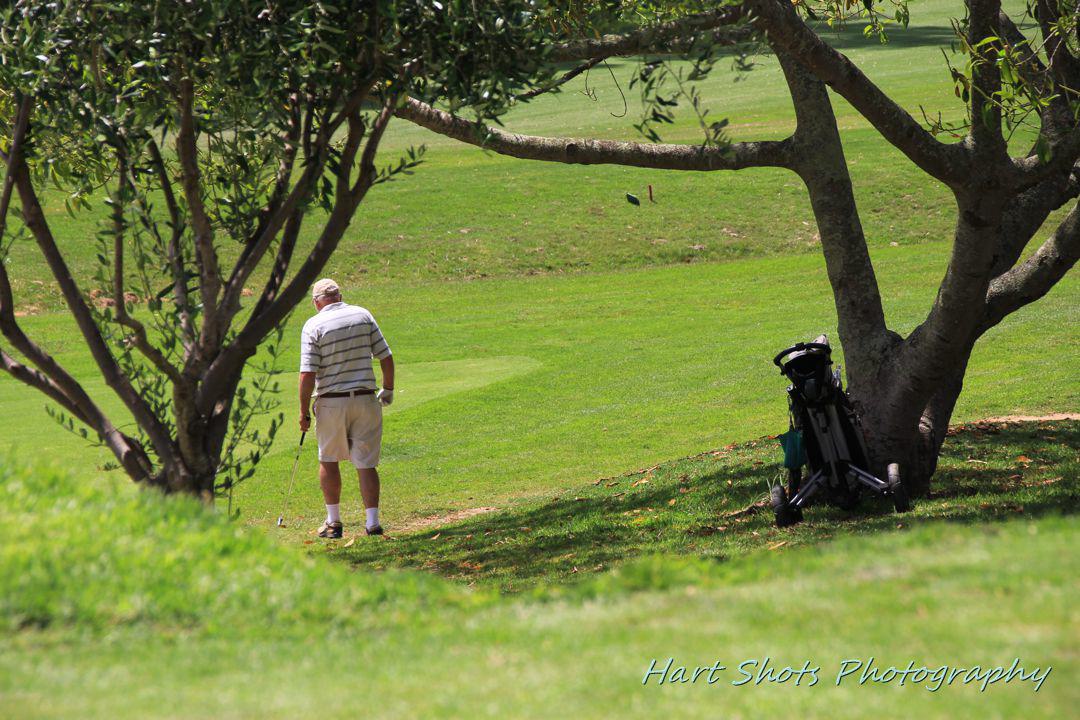 Ball Game, Sport, Golfing, Person, Bellville Golf Club, Jip De Jager Dr, Welgemoed, Cape Town, 7538