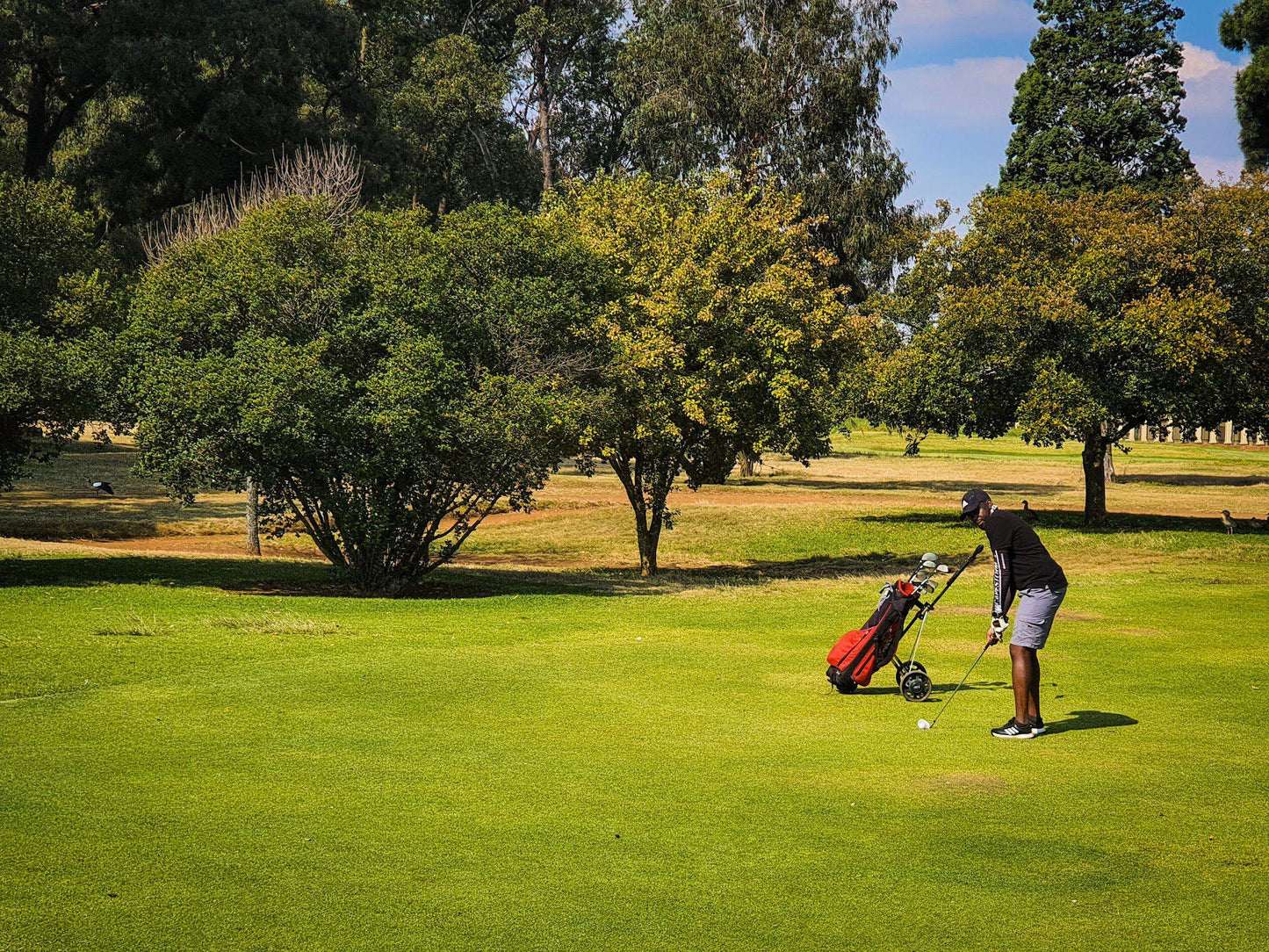 Ball Game, Sport, Golfing, Person, ERPM Golf, 85 Pretoria Rd, Boksburg West, Boksburg, 1459