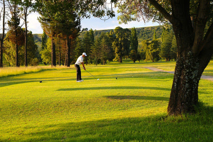 Ball Game, Sport, Golfing, Person, Harrismith Golf Club, 1 Laksman St, Harrismith, 9880