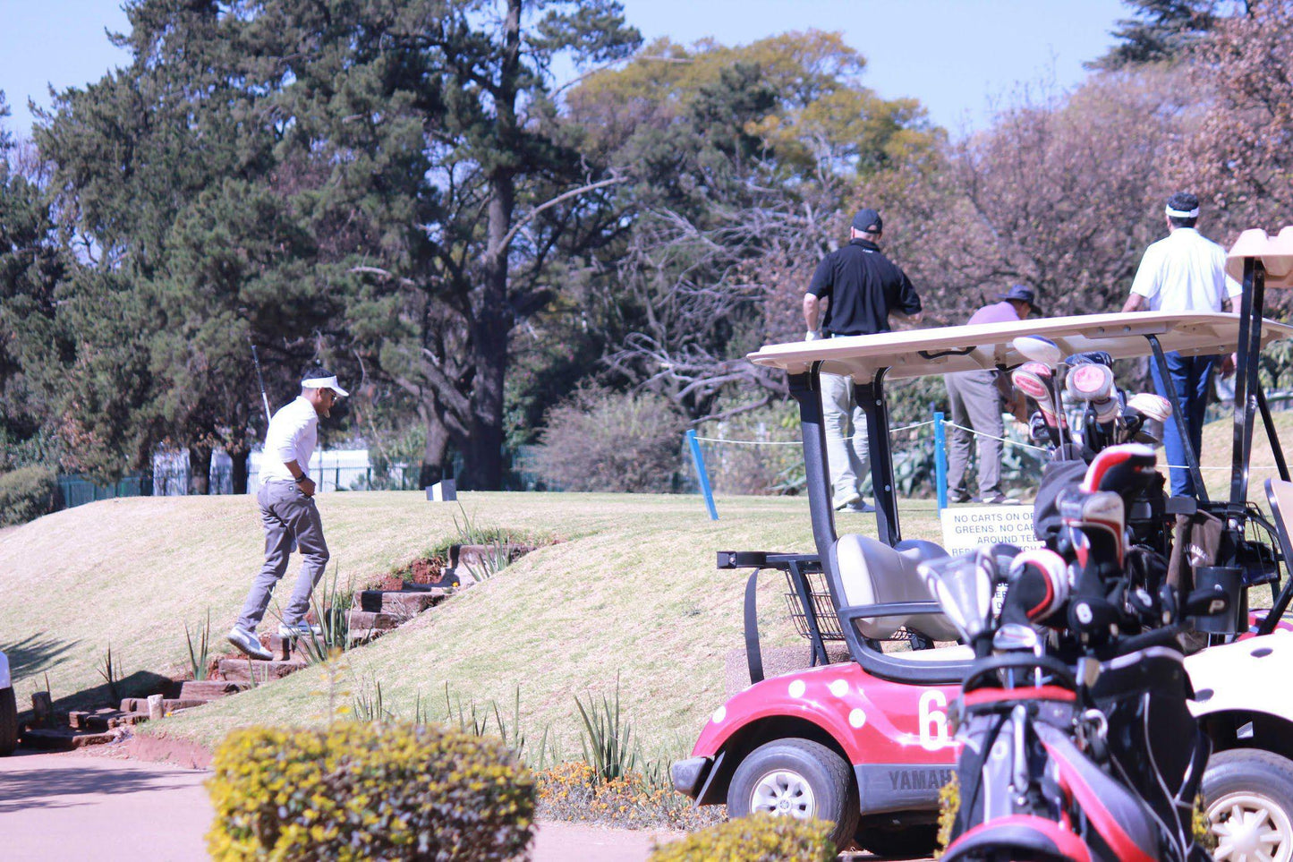 Ball Game, Sport, Golfing, Person, Observatory Club, Steyn St, Observatory, Johannesburg, 2198