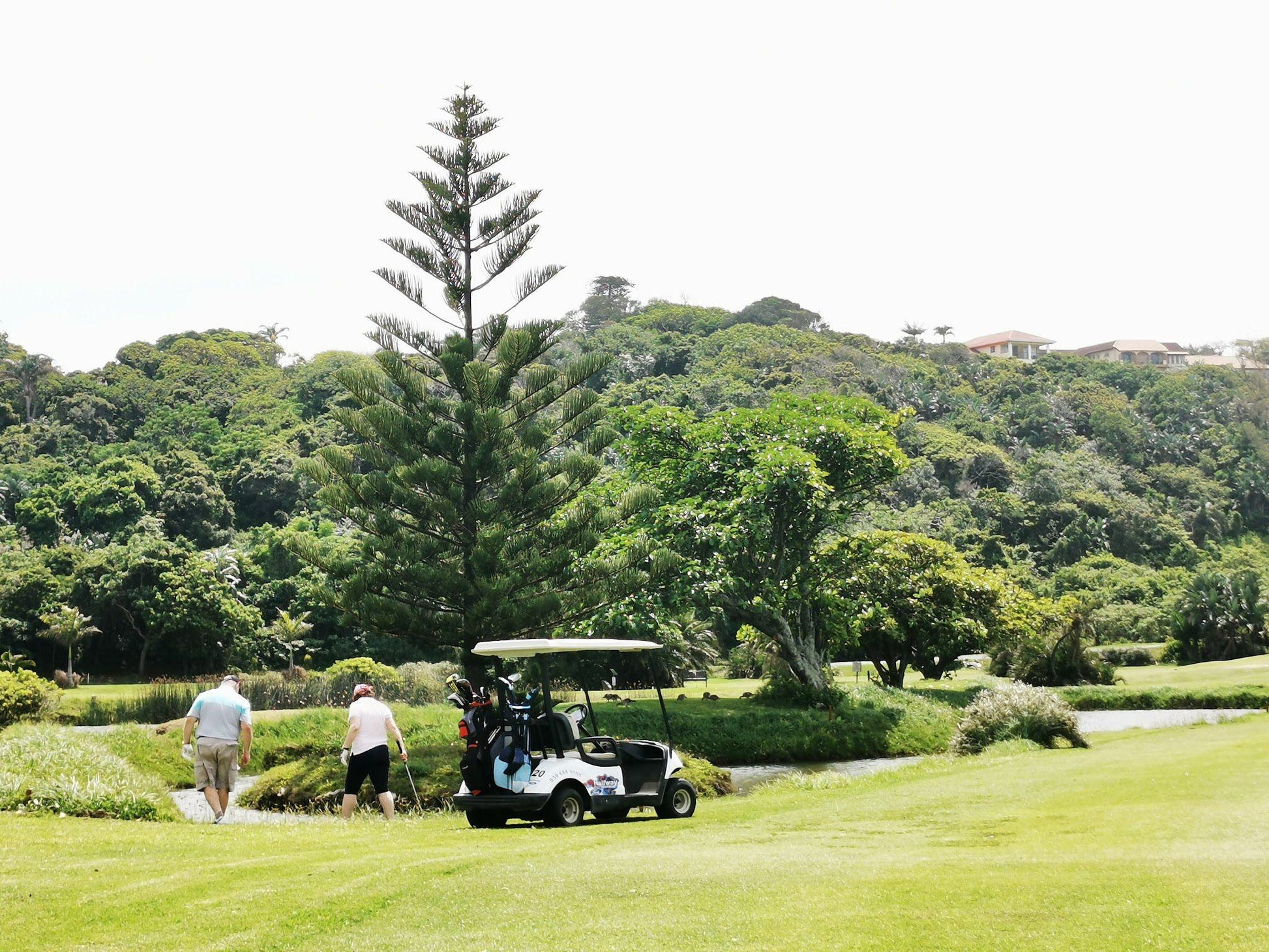 Ball Game, Sport, Golfing, Person, Port Shepstone Golf Course, Marine Dr, Oslo Beach, Port Shepstone, 4240