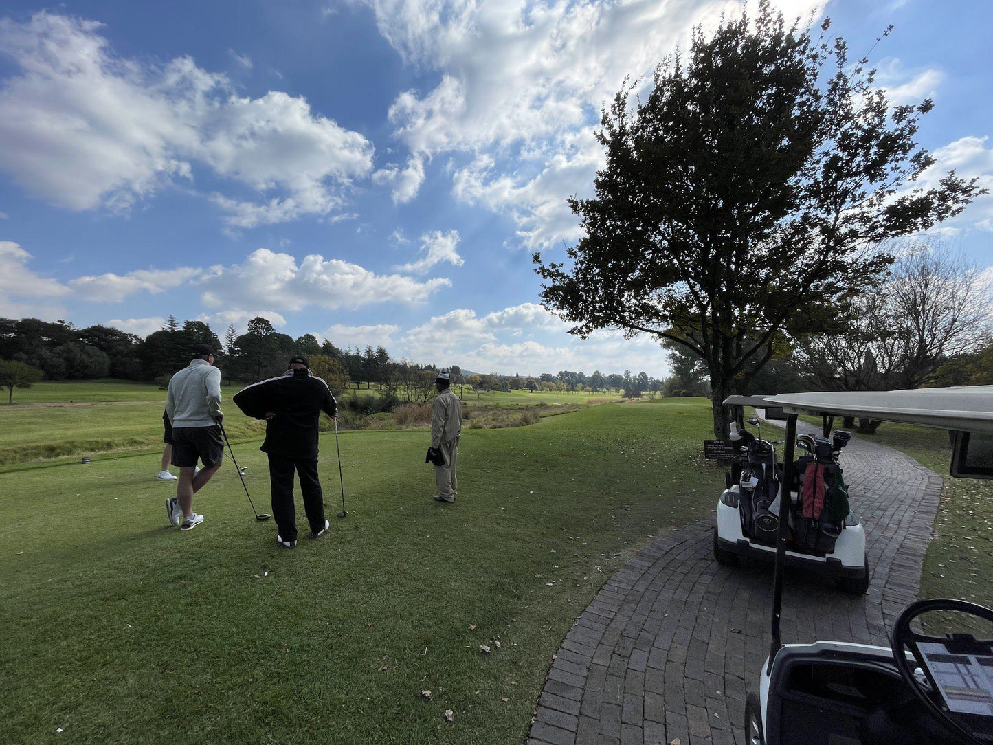 Ball Game, Sport, Golfing, Person, Randpark Firethorn Golf Course, Unnamed Road, Randpark 268-Iq, Randburg, 2194