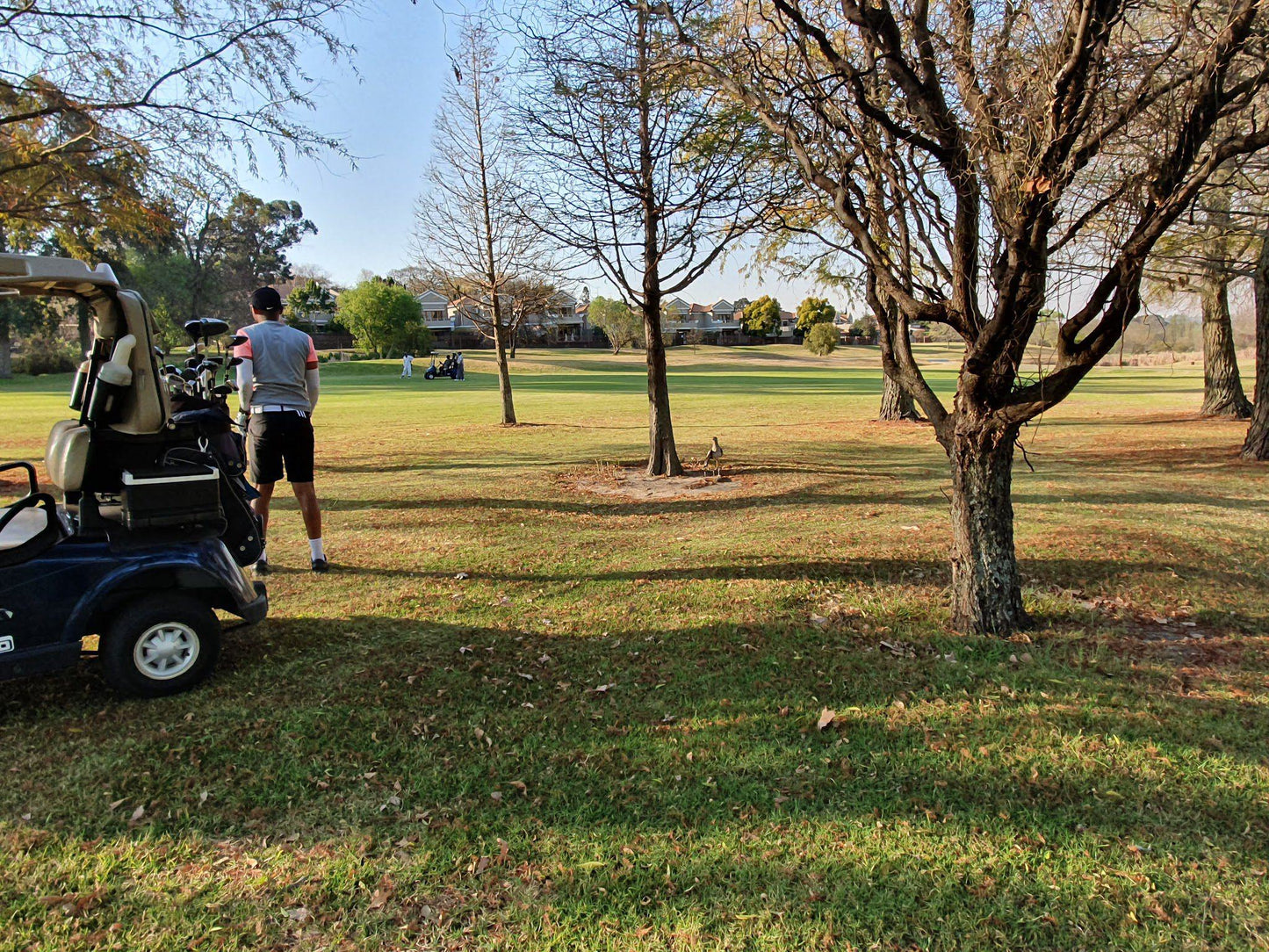 Ball Game, Sport, Golfing, Person, Royal Johannesburg, 1 Fairway Ave, Linksfield North, Johannesburg, 2192