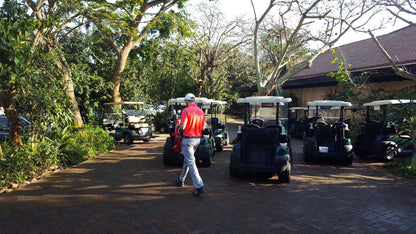 Ball Game, Sport, Golfing, Person, Zimbali Country Club, R627, Zimbali Estate, Dolphin Coast, 4399