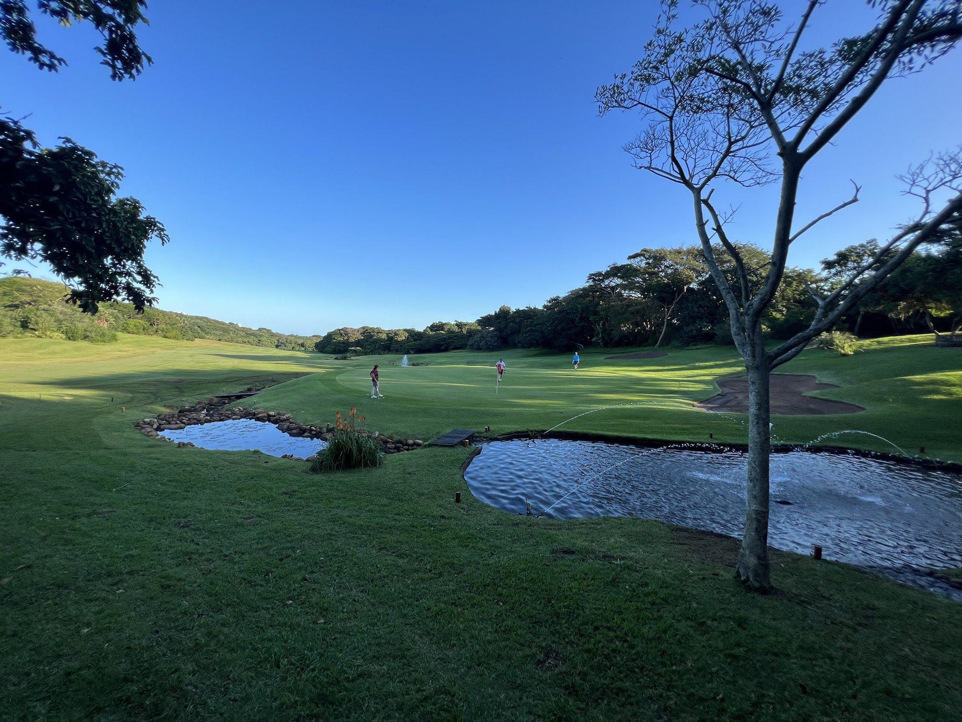 Ball Game, Sport, Golfing, Prince's Grant Golf Estate, 1 Babu Bodasing Avenue, New Guelderland, 4480