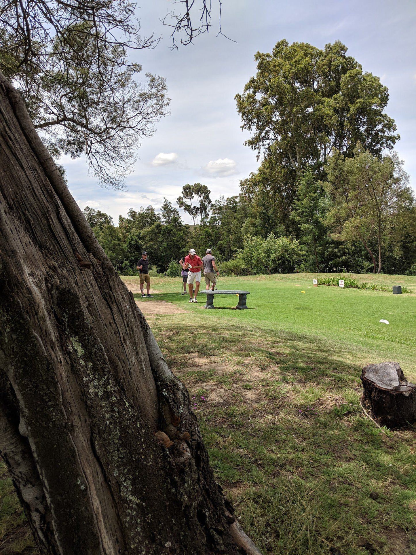 Ball Game, Sport, Golfing, Riversdale Golf Club, Tom Stander Drive, Riversdale, 6670